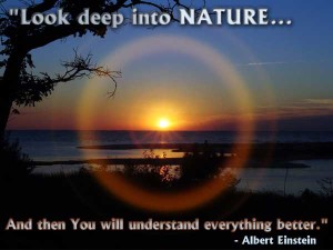 nature-quotes