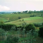 ItalyES20062010 (16)