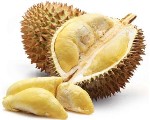 DurianFruit01 (150 x 120)
