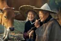 ElderlyCouple 5