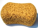 sponge01-150-x-112