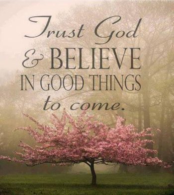 trust & believe