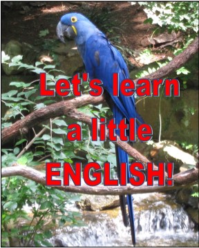 LetsLearnALittleEnglish01 (288 x 360)